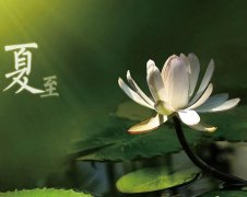 夏至節(jié)氣，廣西強(qiáng)壽藥業(yè)集團(tuán)提醒您注意防暑降溫