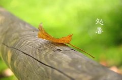 今日12時(shí)9分，迎來(lái)處暑節(jié)氣